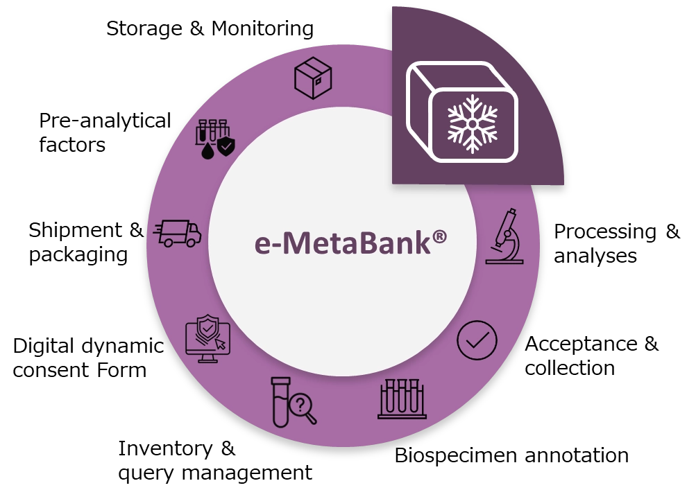metabank-image